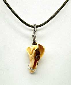 Natural Beauty Shell Necklace