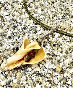 Alternative view of Natural Beauty Shell Necklace