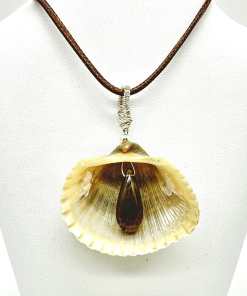Smokey Shell Shell Necklace