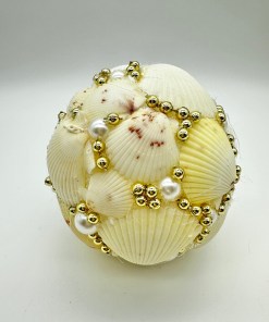 Creamy White Scallop Shell Decorative Orb 6