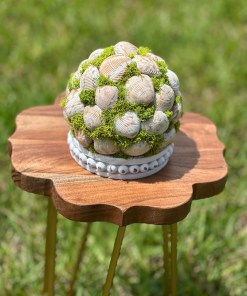 Round Seashell Topiary